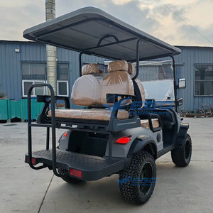 Carrito de Golf Eléctrico Profesional de Cuatro Plazas, Color Gris, Convertible, Ideal para Golf y Ocio - Product Image 2