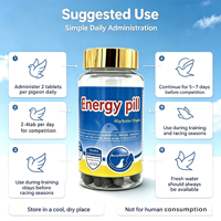 Pilules énergétiques pour pigeons, complément énergétique pour pigeons de course, booster d'endurance et de résistance, anti-fatigue, additif alimentaire pour pigeons de compétition