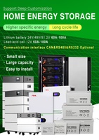 Baterai lithium LiFePO4 24V 200AH kualitas tinggi sistem penyimpanan energi surya rumah