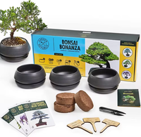 Meilleur kit de culture de coings japonais pour bonsaï kit de culture de jardin véritable bonsaï kit de culture d'encens mini kit de jardin pour bureau maison sac cadeau