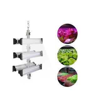 Lampe de culture LED Fruit Full, CRI 90 élevé, IP44, construction en aluminium, garantie 3 ans, favorise la floraison - Product Image 2