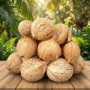 มะพร้าวน้ำหอมสดแบบมีเปลือก คุณภาพสูง ขนาด 12-15 ซม. สำหรับส่งออก - Product Image 2