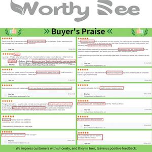 <span class=keywords><strong>Plomada</strong></span> Retráctil, Herramientas de Construcción, Martillo de Plomo, Herramientas Utilizadas por Constructores Profesionales, OEM Industrial, ODM Magnético - Product Image 6