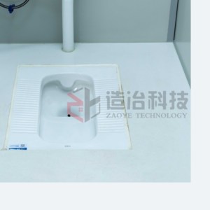 Toilettes modulaires en conteneur à porte simple pour extérieur, abordables et de haute qualité, adaptées à une utilisation dans les parcs - Product Image 4