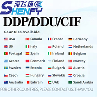 Transitaire DDP DDU CIF, service logistique porte-à-porte, agent maritime et aérien vers l'Europe