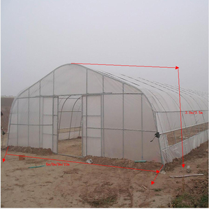 Invernadero Comercial de Polietileno de Bajo Costo y Alta Calidad en Venta - Product Image 6