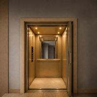 Ascenseur domestique sur mesure 320 kg, petit ascenseur de villa intérieur/extérieur panoramique, conception sans gaine CE EN81