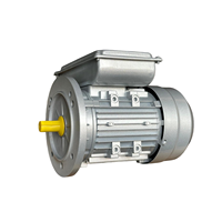 Moteur électrique asynchrone à double condensateur monophasé série YL 1400 RPM | Moteur à induction à phase divisée à couple élevé 220V AC IE3