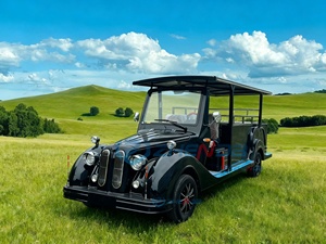 Fournisseur de cercueils classiques / Voiture funéraire électrique classique / Véhicule de transport spécial à vendre - Product Image 3