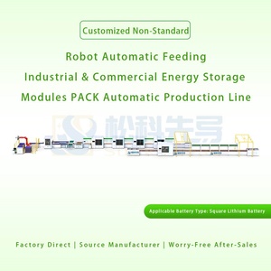 Módulos de Baterías de Litio Prismáticas de Carga Semiautomática para Robots, Línea PACK SUNKA LEAD 8-10PPM, Almacenamiento de Energía Industrial y Comercial - Product Image 3