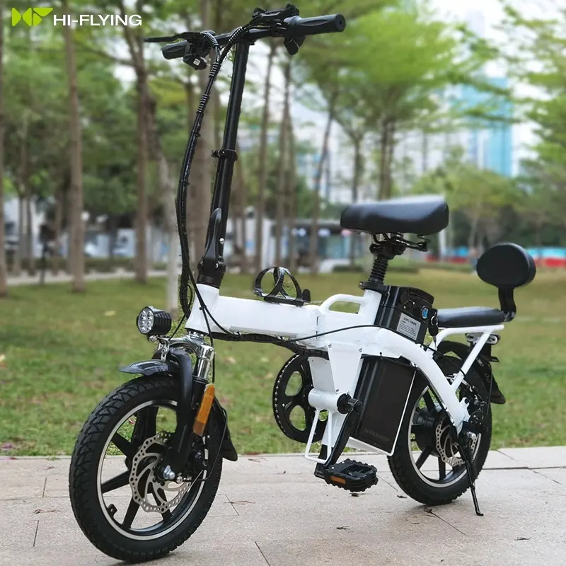 プロの製造小型自転車e自転車48vビッグパワー12A-25Aバッテリーe自転車250w350w大人用折りたたみ自転車電動自転車