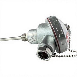 Hochpräziser Integrierter Temperaturtransmitter Edelstahl RTD-Sensor Sonde Thermischer Widerstand Temperatur-Thermoelement - Product Image 1