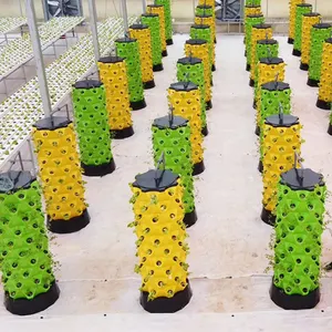 Ferme verticale agricole pour le jardin de la tour d'intérieur Tour aéroponique verticale d'ananas hydroponique