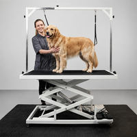 Table de toilettage pour chien AP-899 avec élévateur électrique et bras articulé, table de toilettage pour animaux de compagnie à vendre