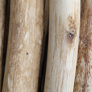 Différentes tailles de pieux en bois d'eucalyptus utilisés dans les fournitures de construction et de jardin - Product Image 1