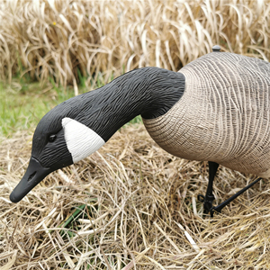 Señuelo <span class=keywords><strong>de</strong></span> Ganso Canadiense Realista Personalizado <span class=keywords><strong>de</strong></span> Fábrica, Señuelo <span class=keywords><strong>de</strong></span> Caza <span class=keywords><strong>de</strong></span> Aves Acuáticas, Material EVA, Señuelo <span class=keywords><strong>de</strong></span> Aves Realista para Caza al Aire Libre - Product Image 5