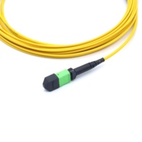 Câble Trunk RUIARA RR-MPO-50 MTP MPO OM3 OM4 OM5 OS2 à Fibre Optique Haute Densité à Faible Perte pour Centre de Données (Conducteur GOF)