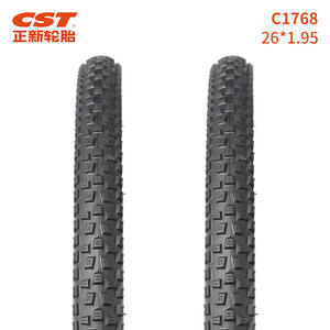 Neumático de Bicicleta de Montaña Cst Heathen de 26 Pulgadas, Resistente a Pinchazos, con Aro de Alambre, Ancho de 1.95 - Product Image 3