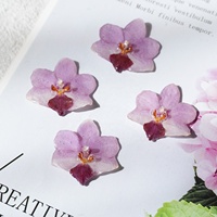Kepala Anggrek Resin Asli, Bunga Alami Warna Pink, Bunga Resin untuk Anting, Perlengkapan Kerajinan DIY untuk Perhiasan Anting Kalung