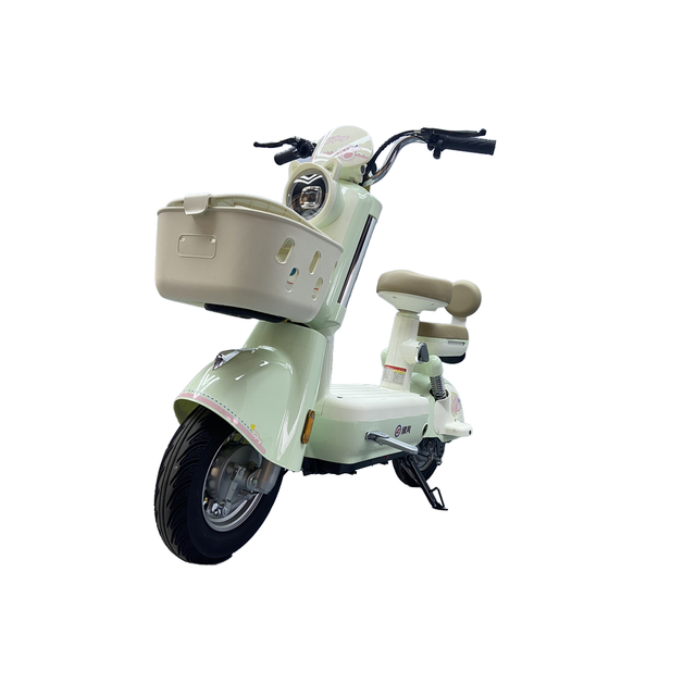 Electric Lady Urban cartoon-style electric transportation motor Rear Hub Motor and Lead Acid Battery Smart Electronic E-Bike