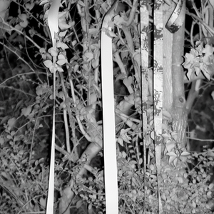 Cinta de encuadernación de poliéster de nailon duradero personalizado 5038 J Tactical M Spec Cincha para chaleco Bolsa Mochila - Product Image 1