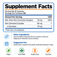 Capsules de Zinc Carnosine Pratiques pour le Soutien de la Barrière Intestinale – Soin Digestif Quotidien pour Adultes – Vente en Gros OEM, Marque Privée, Approvisionnement