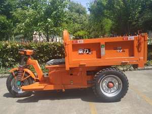 Triciclo de 3 Ruedas Apto para Transporte de Pasajeros con Gran Espacio, Exportación a Europa, Vehículo de 3 Ruedas - Product Image 4