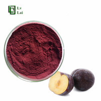 Hete Aanbiedingen Voedingsmiddelenkwaliteit Puur Natuurlijk Groothandel Zwarte Pruimen Vruchtensap Poeder Fruitextract Vitamine