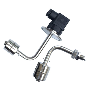 Interrupteur à flotteur EP5000B monté sur le côté, petit, résistant aux hautes températures, personnalisé, en acier inoxydable 304 316 - Product Image 2