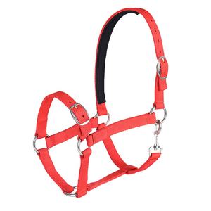 Cabestros chapados en latón Entrenamiento Miniatura Plástico Halter Caballo Nylon Neopreno Proveedor de mascotas - Product Image 3