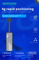 Precio de Fábrica, Localizador GPS 4G J16 Mini para Vehículos, Posicionamiento en Tiempo Real, 150mAh, Aplicación IOS para Tablero, Detección ACC Beidou, Seguimiento por PC