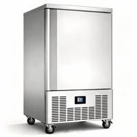 Congélateur à choc commercial Kolice BF-10 à température unique, refroidissement rapide, 10 étagères, R404A, machine de congélation rapide 300L