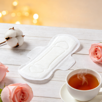Protège-slips jetables en coton biologique pur, respirants, à ailettes très hautes, aux herbes, protection anti-fuites pour la nuit