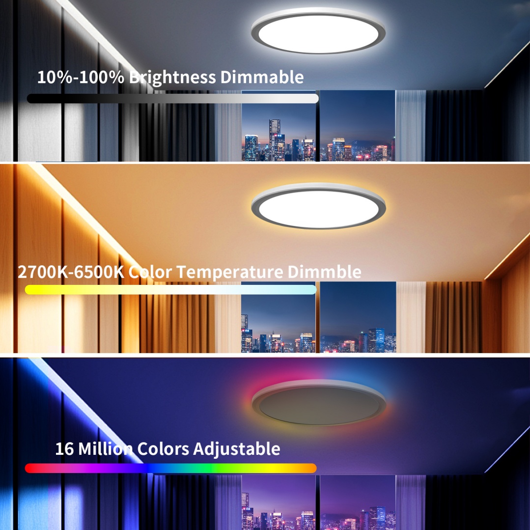 White CW+RGBIC [Remote control + Blue-tooth + Tuya APP]