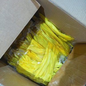 Plumes de queue de <span class=keywords><strong>coq</strong></span> naturelles teintes sur mesure en gros pour la pêche à la mouche, les costumes, le carnaval, les mariages, les fêtes, l'artisanat et la décoration de scène - Product Image 3