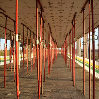 Puntal de Acero Ajustable, Material Q235, Recubrimiento en Polvo, Puntal de Apuntalamiento para Encofrados de Construcción de Alta Resistencia