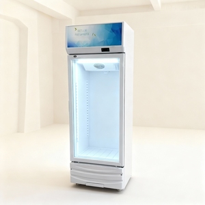 Enkeldeurs verticale glazen koelkast voor dranken, met mechanische temperatuurregeling en verstelbare planken - Product Image 6