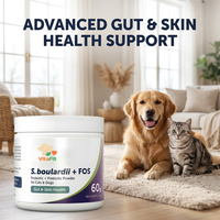 Produit Tendance : Poudre Probiotique pour Chiens – Complément Immunitaire et Équilibre de la Flore Intestinale