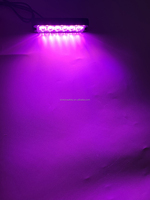 Lumière d'avertissement strobelight à 6 LED Rose Violet Clignotant 220-6 Lumière de calandre à montage en surface