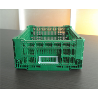 Caisses en plastique perforées pliables de style maille pour tomates, fruits, légumes, champignons