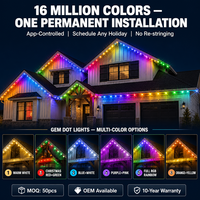 Lumières extérieures permanentes Ismart à changement de couleur compatibles Alexa et Google, module 30 mm, 12 V 24 V, IP68, pour la décoration de jardin