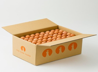 Vente en gros de cartons d'oeufs de qualité alimentaire plateau à oeufs en pâte de papier solide pour boulangeries restaurants dossier éponge de stratification mate