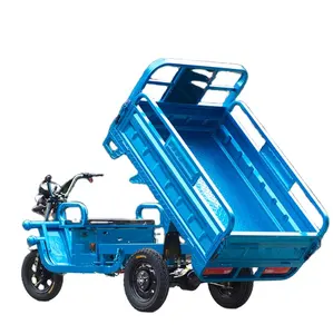 定制标志三轮车可做三轮摩托车摩托家用货物三轮车电动车