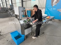 Cortador Eléctrico de Perejil, Máquina para Cortar Cebollino, Rebanador de Hojas de Acelga, Frutas y Verduras, Cortador Eléctrico de Vegetales