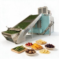 Machine de séchage industrielle à bande maillée multicouche à économie d'énergie, adaptée au séchage des tranches d'ananas, de manioc, de tomates et de poivrons