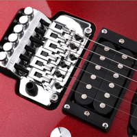 HUASHENG Double Rocking Baking Varnish Electric Guitar OEM ODM 24 Fret High Gloss Basswood Maple Neck Beginner