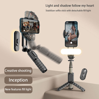 Stabilisateur de téléphone portable Q09 à poignée unique avec lumière d'appoint LED détachable, perche à selfie et télécommande sans fil pour Vlog et diffusion en direct