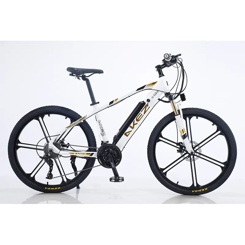 2021 New bike 26 inch Bicycle /36v 350w Electric mountain bike/Wheel Size 26/Range per Power 31 - 60 km/three layer baking pain
