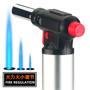 Accendino a Fiamma per BBQ, Torcia Lunga 20 CM Antivento per Campeggio e Attività all'Aperto, Pistola Spray in Alluminio e Acciaio Inox, Cartuccia 360 Gradi, Omaggi - Product Image 4