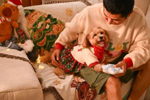 Vestido Navideño Festivo para Mascotas, Conjunto <span class=keywords><strong>Familiar</strong></span> a Juego, Sudadera Suave y Falda de Capas a Cuadros, Ropa para Perros y Gatos - Product Image 4